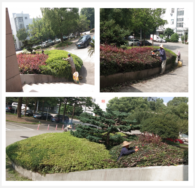 美化綠化，我們在行動      