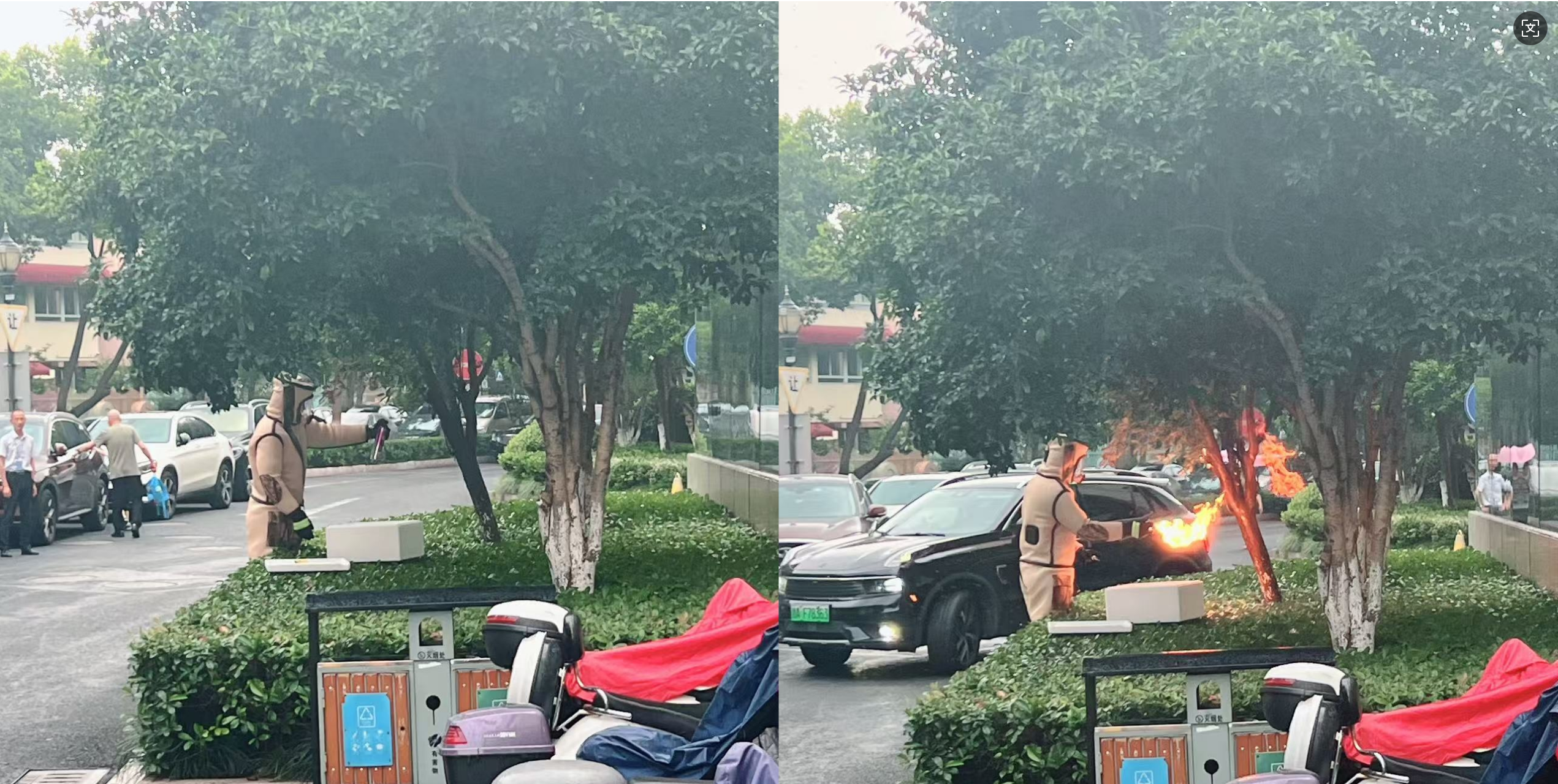 安全守護(hù)零距離，水晶城快速處置外圍蜂群隱患