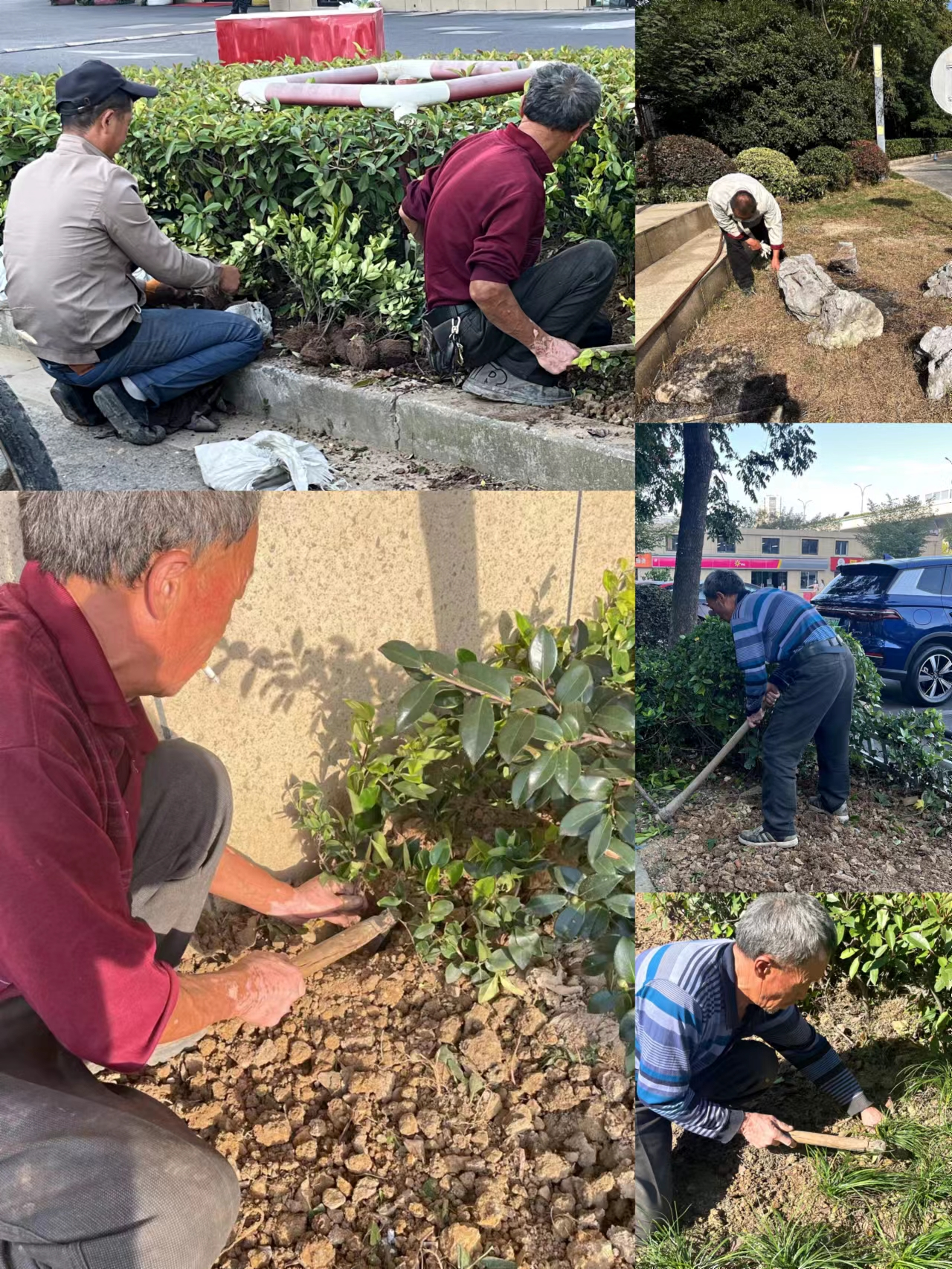 園區(qū)環(huán)境雙升級，煥然新風提水準