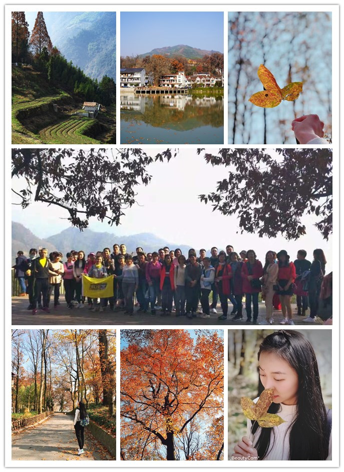 20181203043200.jpg 20181203043200.jpg