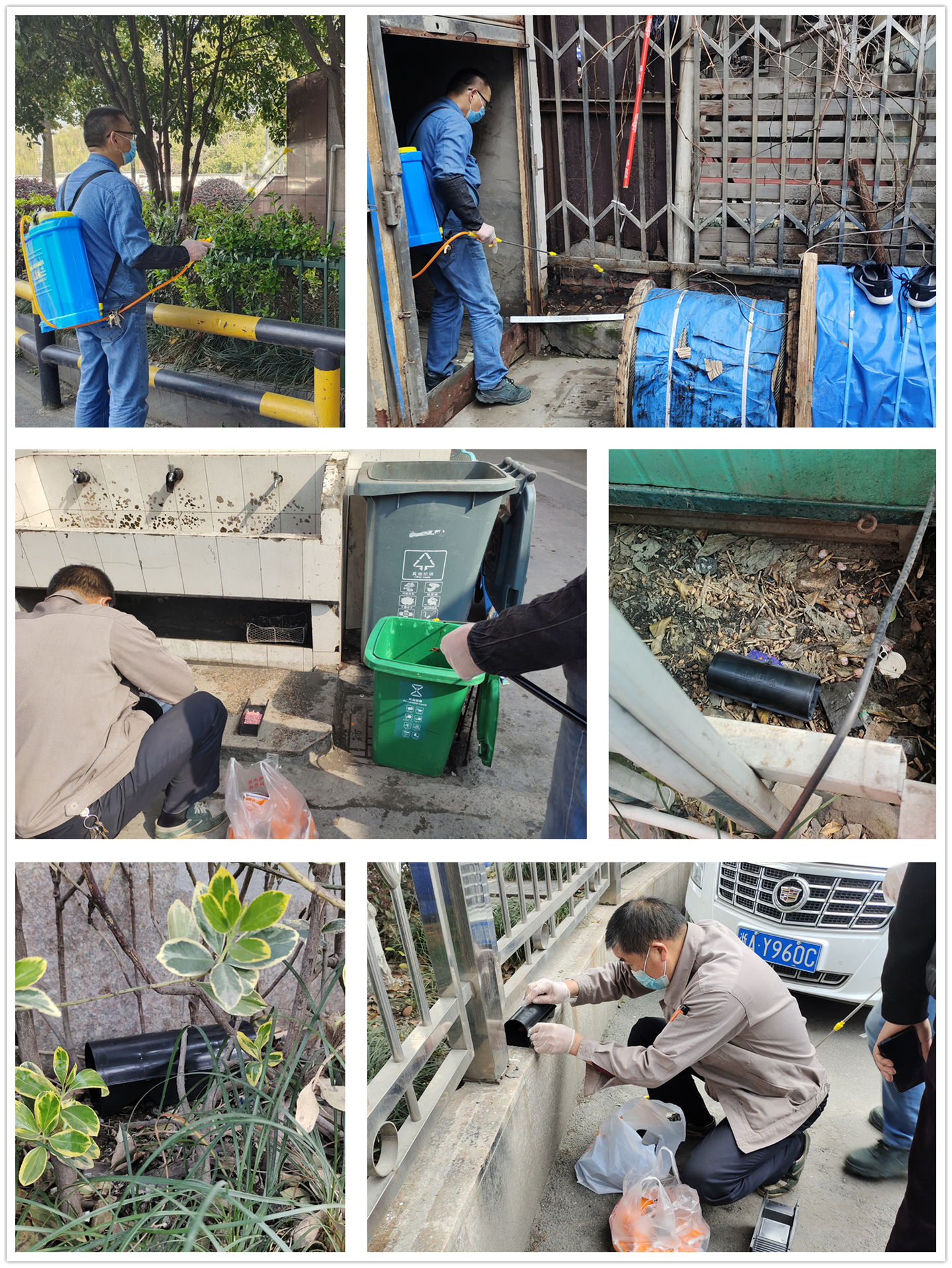 滅鼠活動.jpg 滅鼠活動.jpg