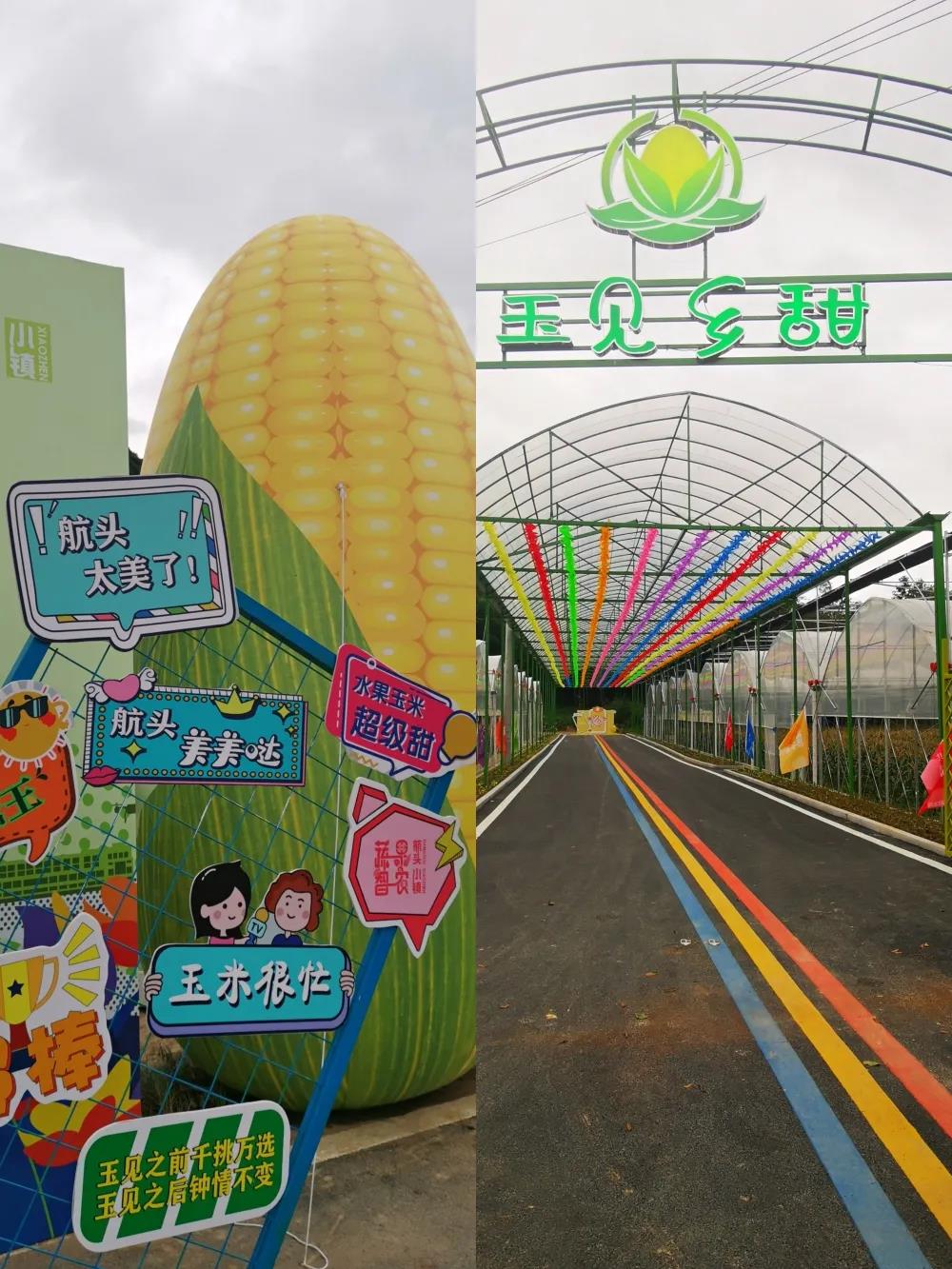 微信圖片_20211018150729.jpg 微信圖片_20211018150729.jpg