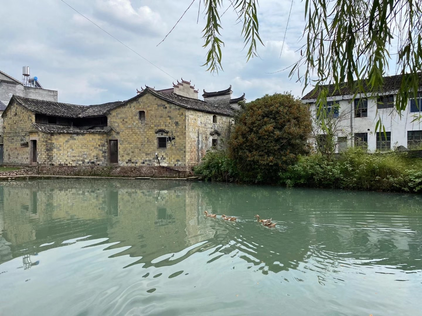 仙居2.png 仙居2.png