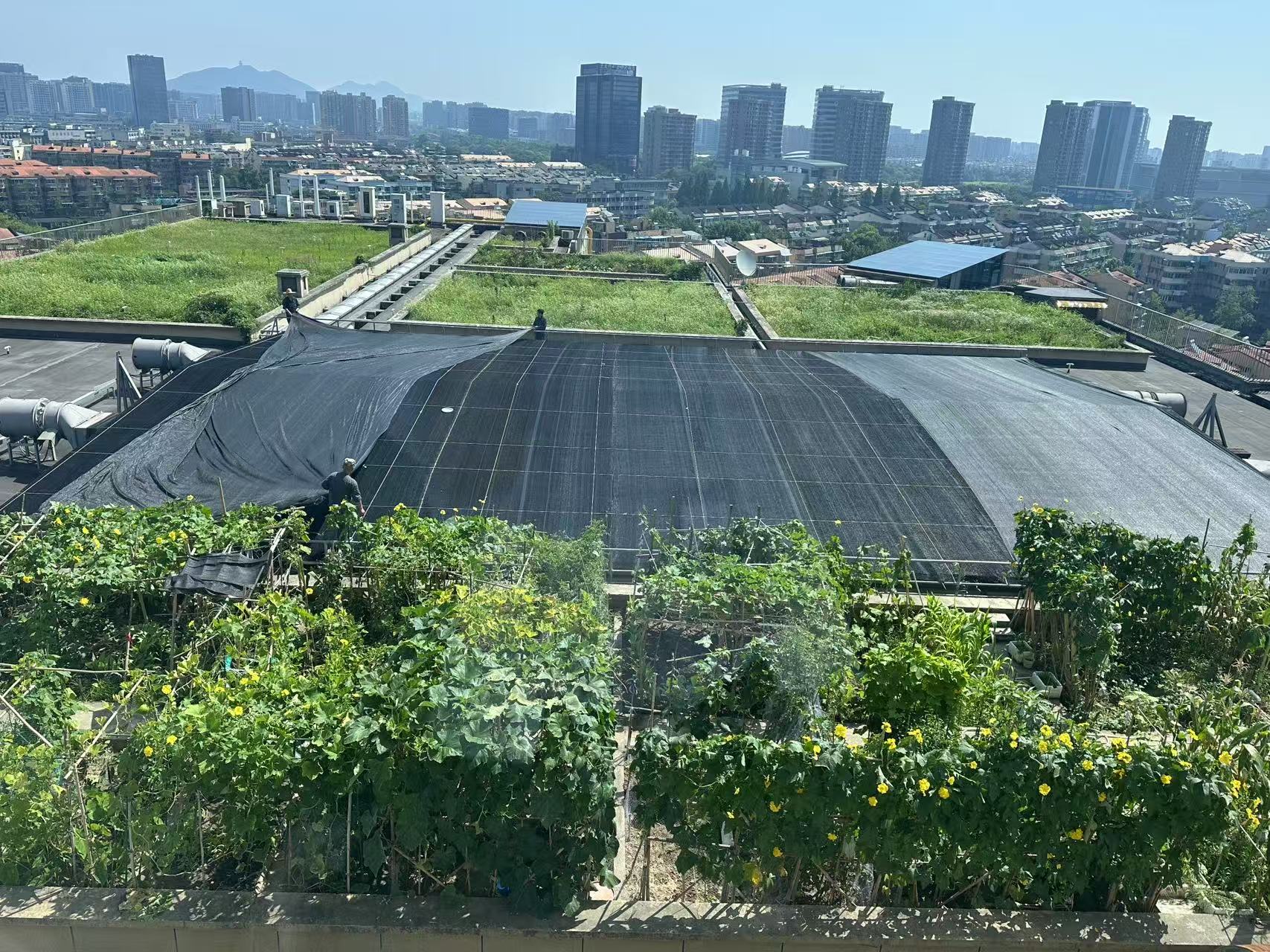 微信圖片_20250716172539.jpg 微信圖片_20250716172539.jpg